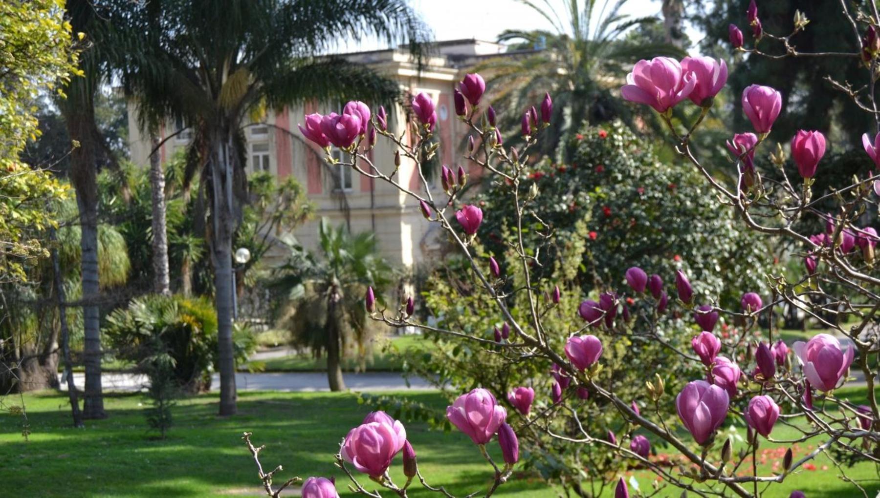 Bed and Breakfast Casina Via Foria Nápoles Exterior foto